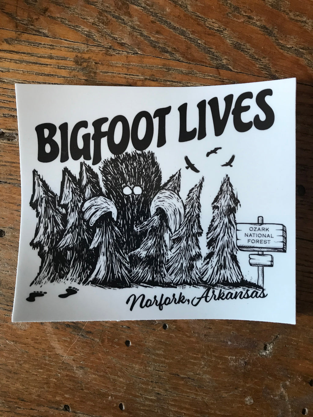 Bigfoot Lives Sticker